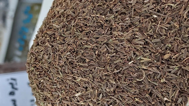 زیره سیاه سیدانه